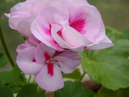gallery_13006_1400_37824.jpg