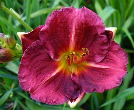 gallery_7131_1370_3008.jpg