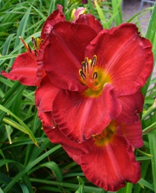 gallery_7131_1370_30513.jpg