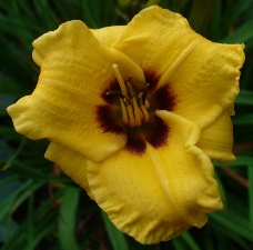 gallery_7131_1370_10674.jpg