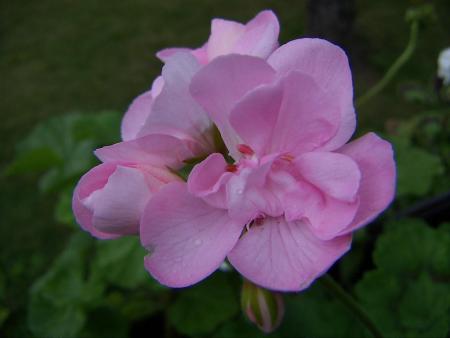 gallery_9779_1525_72838.jpg