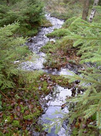 gallery_834_1168_16873.jpg