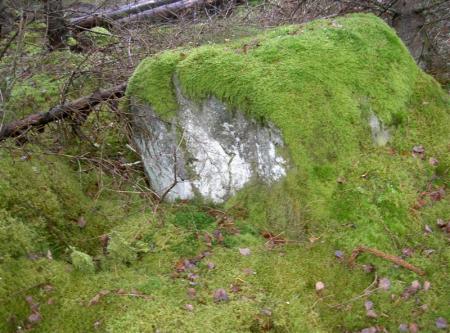 gallery_834_1168_95553.jpg