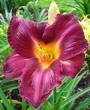 tn_gallery_7131_1532_22104.jpg