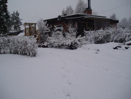 gallery_13126_1548_46649.jpg