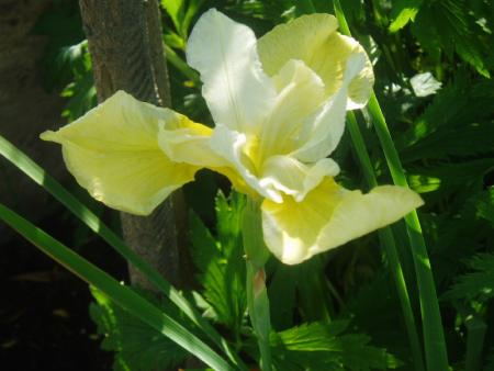 gallery_13126_1548_36084.jpg