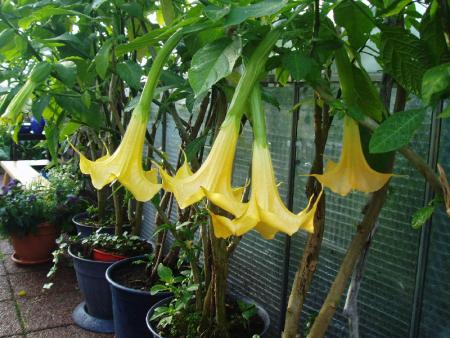 gallery_13126_1548_159633.jpg