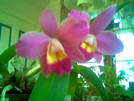 gallery_2460_1501_41522.jpg