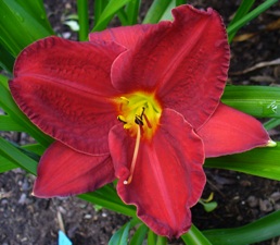 gallery_7131_1532_30633.jpg