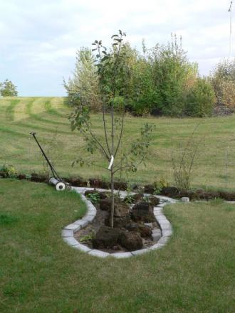 gallery_2753_978_48064.jpg