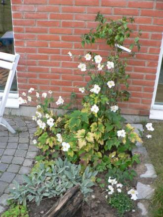 gallery_2753_978_58958.jpg