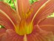 tn_gallery_4971_1228_225471.jpg