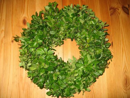 gallery_10333_596_42665.jpg