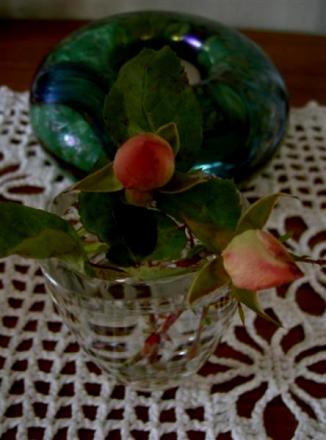 gallery_834_1080_1486.jpg