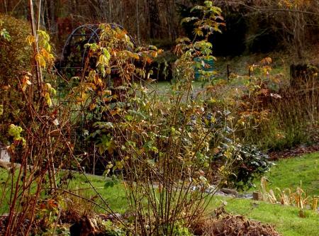 gallery_834_1080_49994.jpg