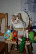 tn_gallery_12739_1188_10469.jpg