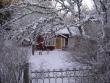 tn_gallery_2778_232_782.jpg