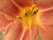 tn_gallery_2778_232_99919.jpg
