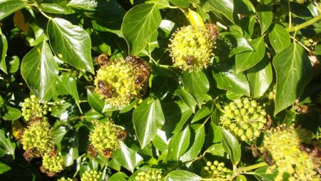 gallery_12789_1237_24691.jpg