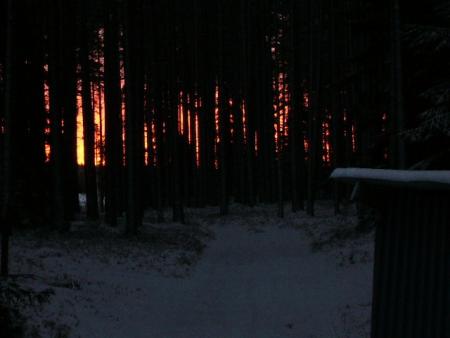 gallery_13006_1597_30815.jpg