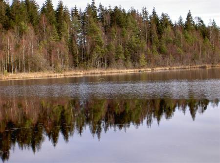 gallery_834_1168_61545.jpg