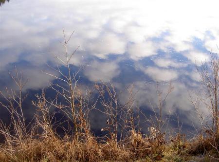 gallery_834_1168_94461.jpg