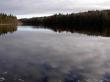 tn_gallery_834_1168_17699.jpg