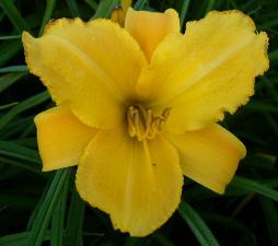 gallery_7131_1590_14079.jpg