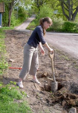 gallery_3603_1600_100278.jpg