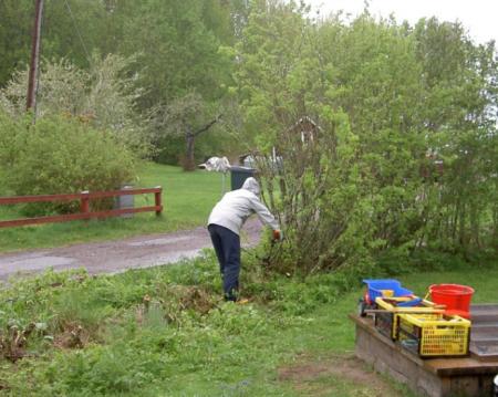 gallery_3603_1600_88490.jpg