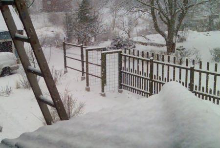 gallery_3603_1600_53763.jpg