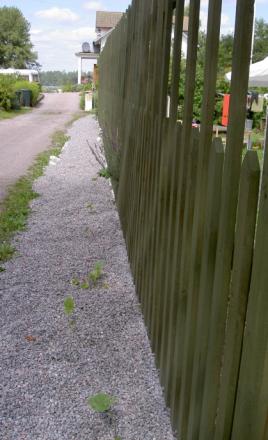 gallery_3603_1600_58110.jpg