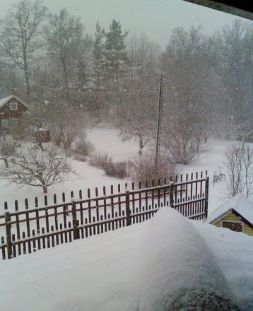 gallery_3603_1600_6405.jpg