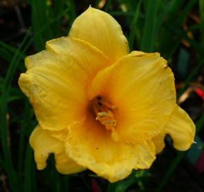 gallery_7131_1590_16739.jpg