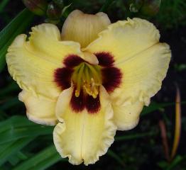 gallery_7131_1590_7532.jpg