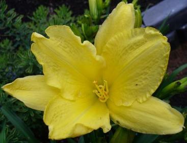 gallery_7131_1590_802.jpg