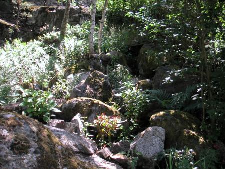 gallery_43_1608_22515.jpg