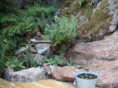 gallery_43_1608_283870.jpg
