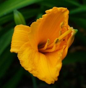 gallery_7131_1590_10230.jpg