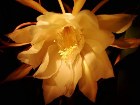 gallery_13211_1620_40183.jpg