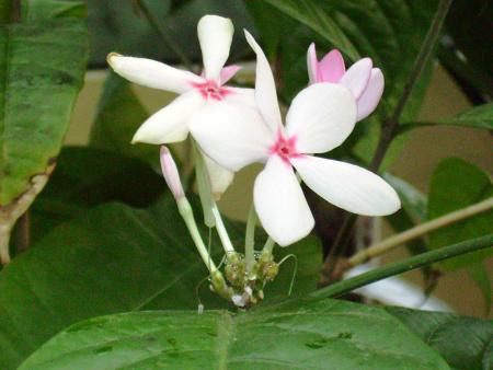 gallery_2004_1622_173859.jpg