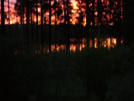 gallery_13006_1597_17491.jpg