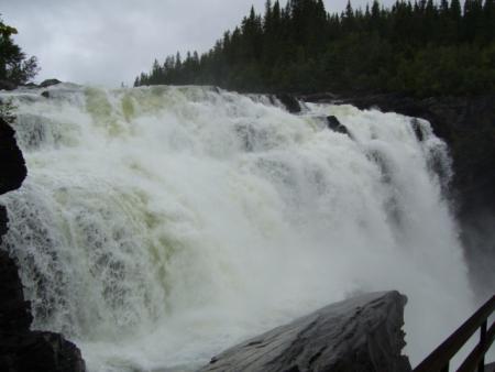gallery_13006_1597_63032.jpg