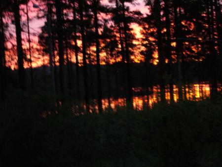 gallery_13006_1597_83042.jpg