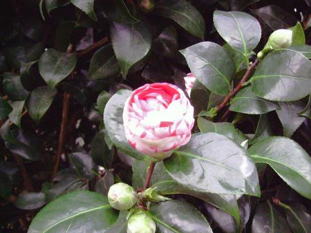 gallery_2004_1622_159003.jpg
