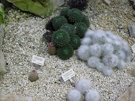 gallery_2004_1622_182944.jpg