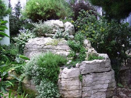 gallery_2004_1622_81719.jpg