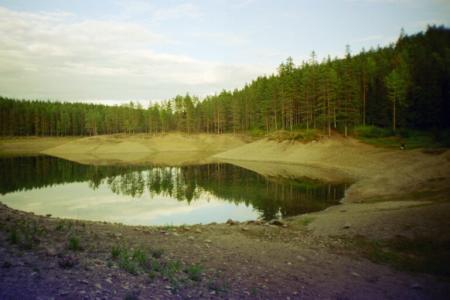 gallery_13006_1597_21577.jpg