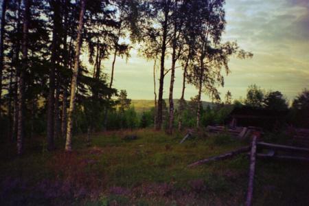 gallery_13006_1597_3725.jpg