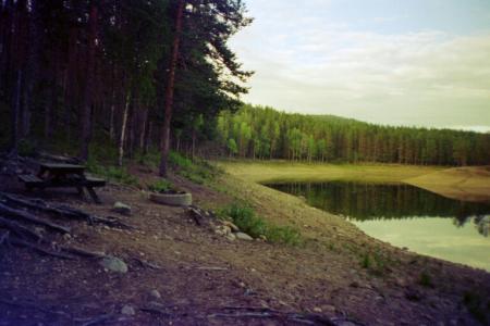 gallery_13006_1597_40050.jpg
